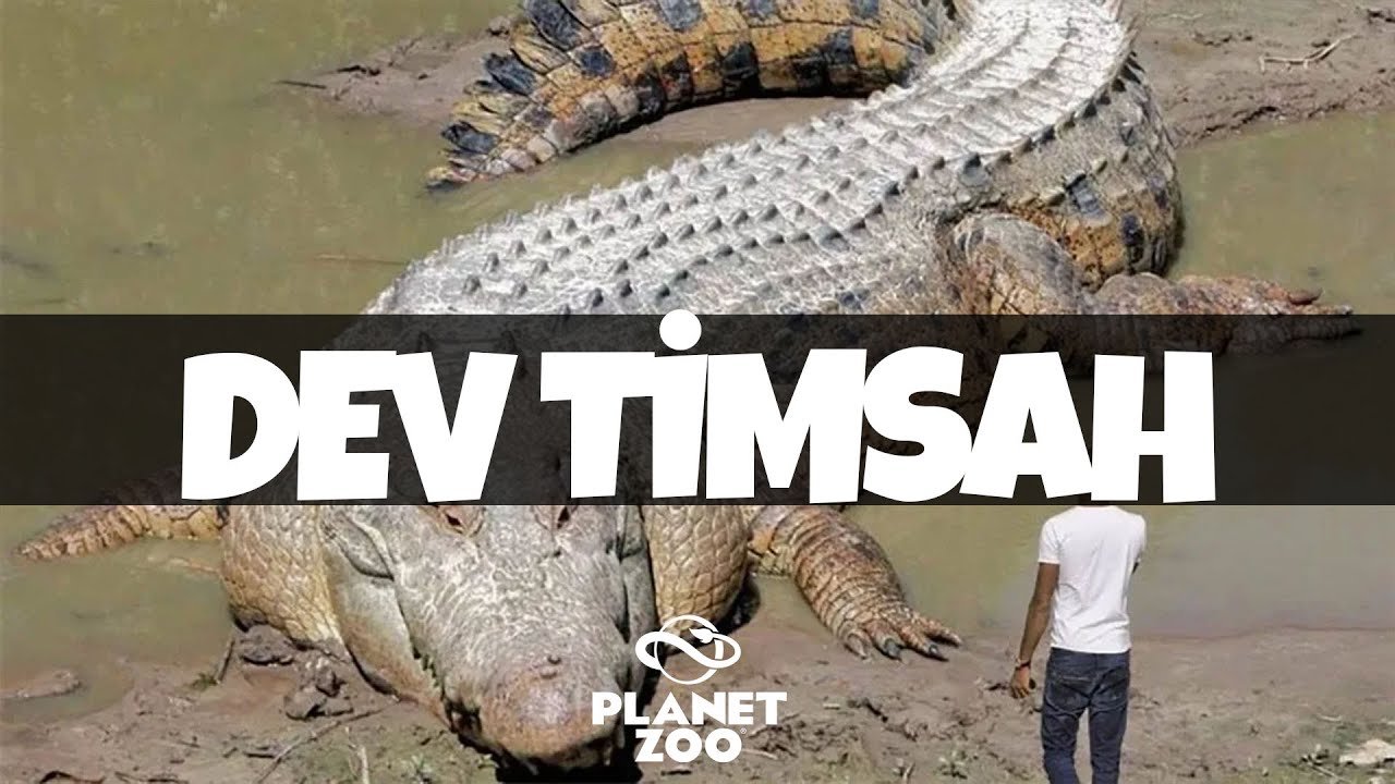 DEV TİMSAH! - PLANET ZOO