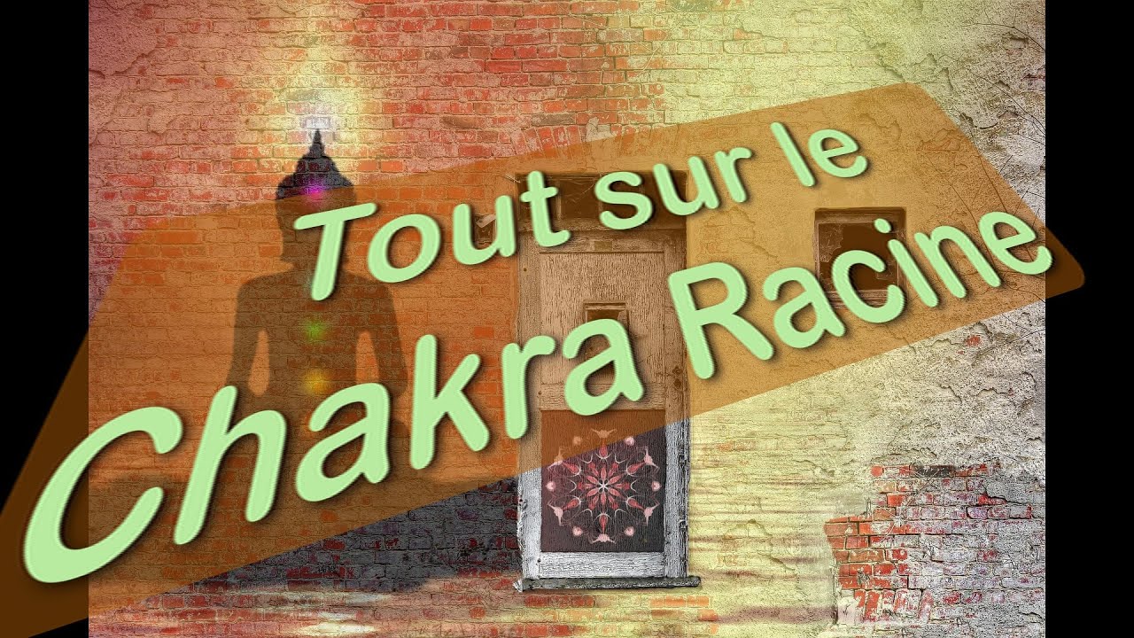 Chakra Racine, Documentaire