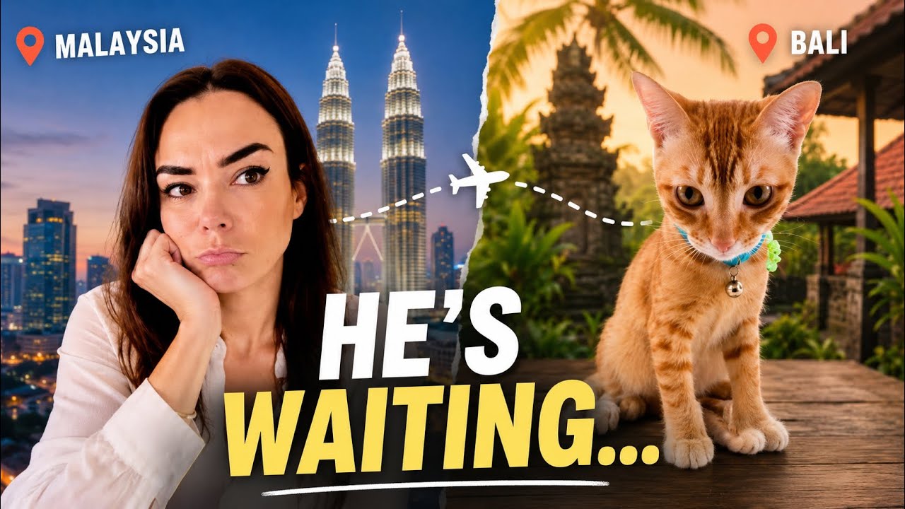 Воссоединение с моей спасенной кошкой ✈️😻