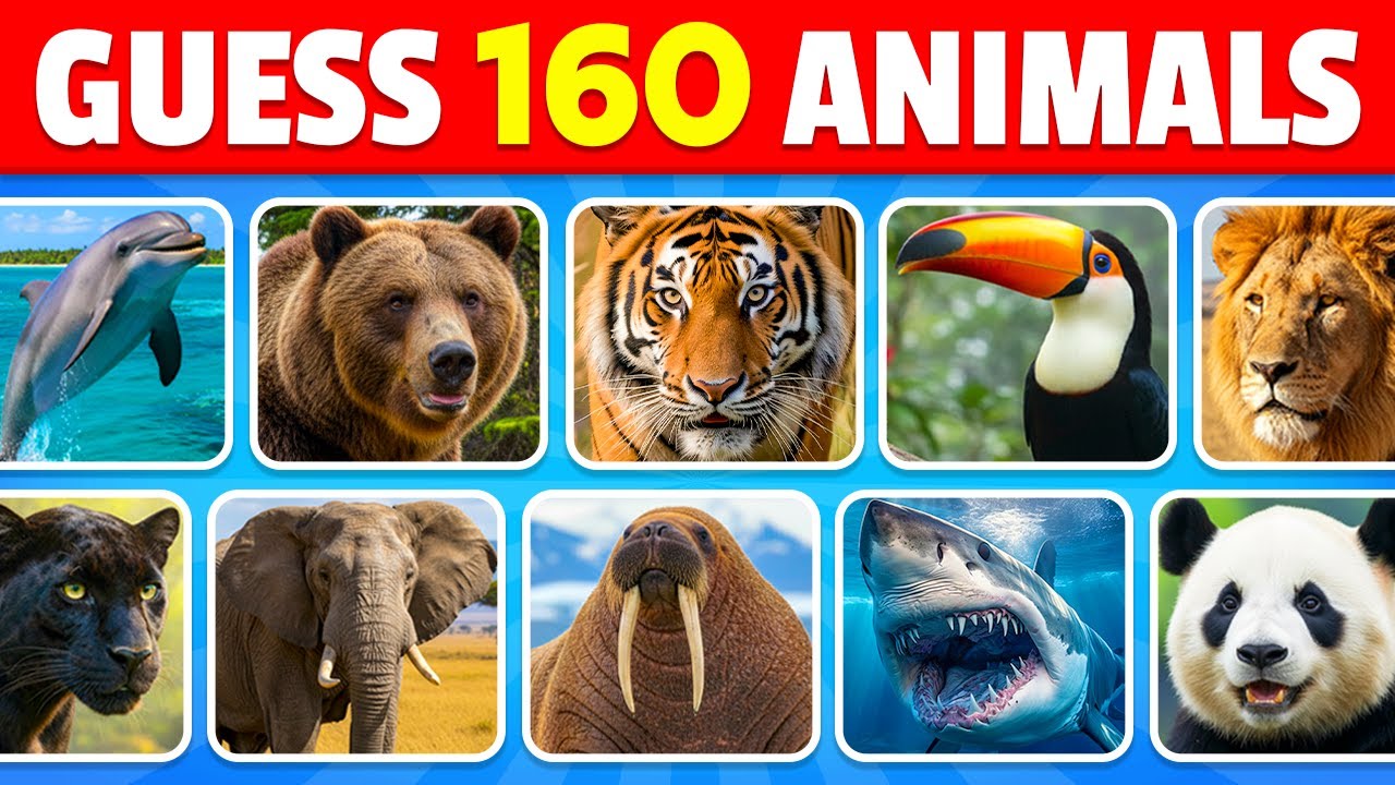 Угадай 160 животных за 3 секунды 🐶🦁✅ | Легко, Средне, Сложно, Невозможно