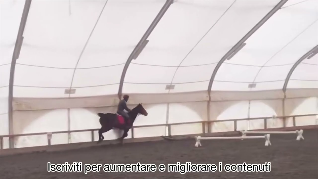 AVVICINAMENTI:Esercizio&Ginnastica