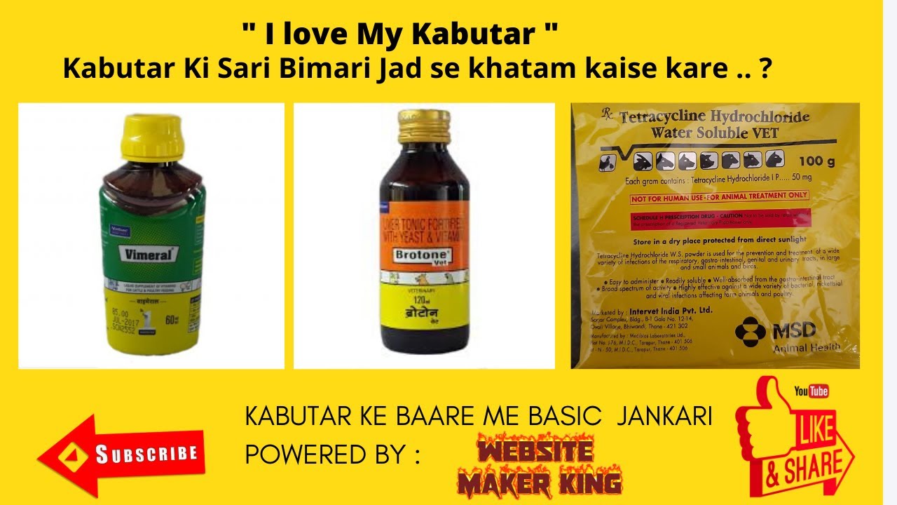 Kabutar ko bimari se kaise bachaye ? | Best Medicine for Pigeon | Kabootar Ki Dawa