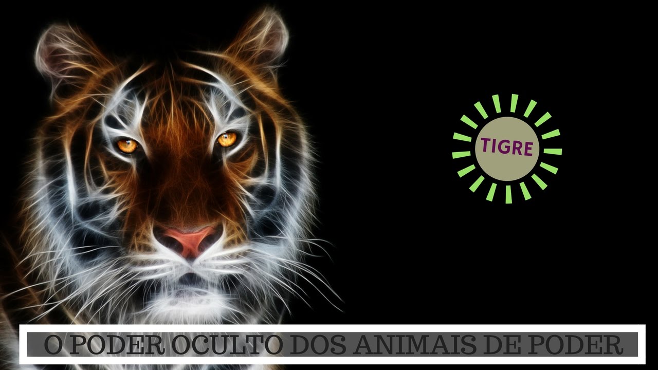 Animal de Poder Tigre