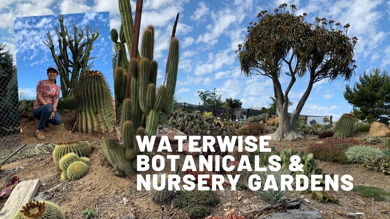 Waterwise Botanicals & Nursery Gardens Tour (Cactus and Succulents)