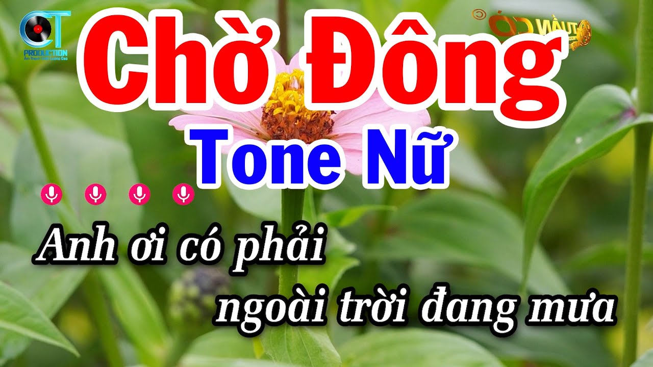 Karaoke Chờ Đông Tone Nữ Mới Nhất - Tuấn Cò Karaoke