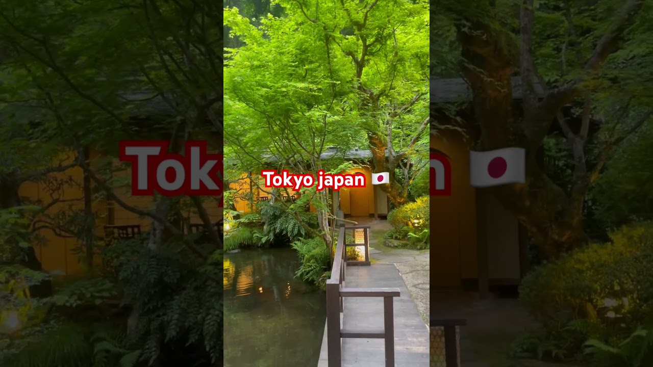 Ukai toriyama 🥰🥰Tokyo japan 🇯🇵
