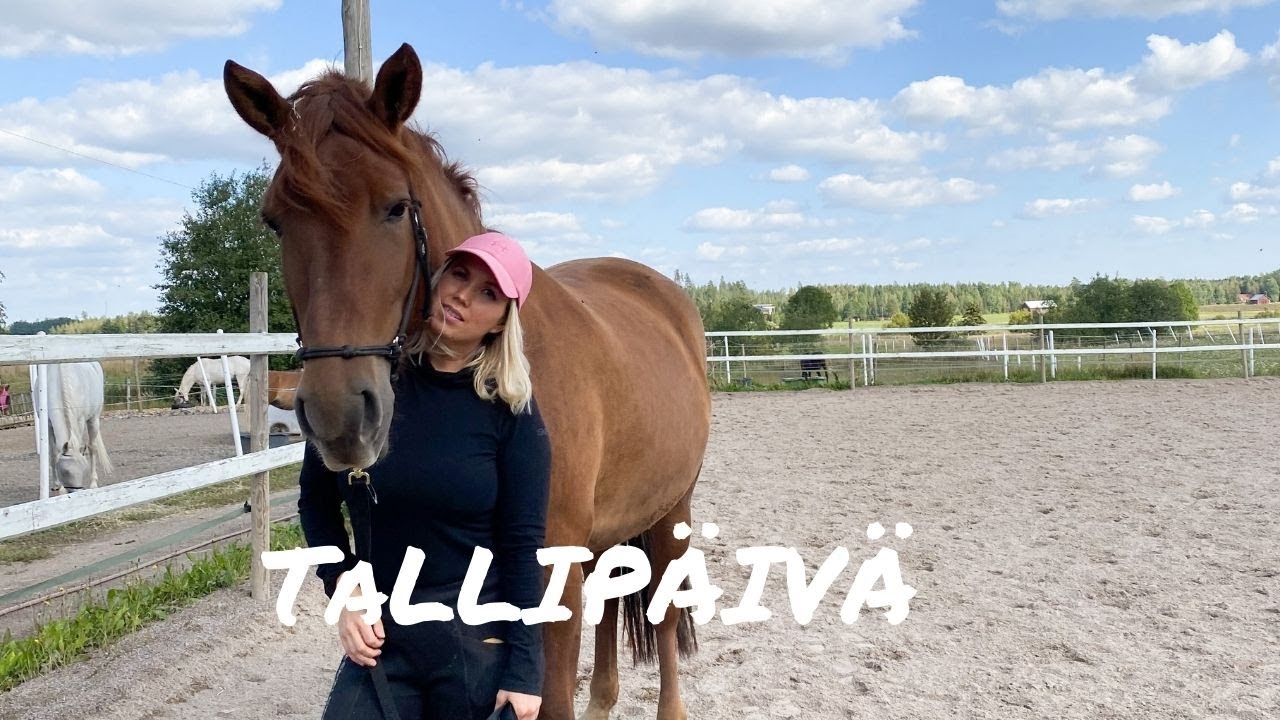KOULUTETAAN MEIDÄN HEVOSTA