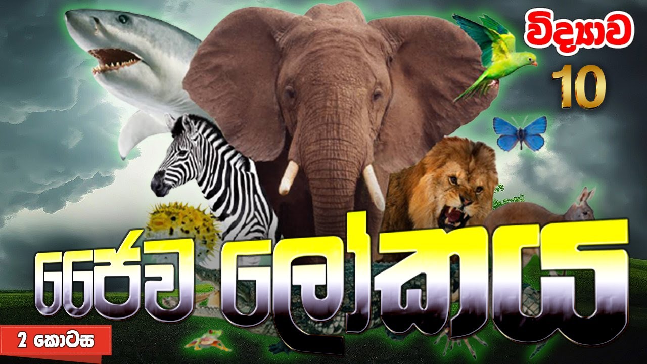 Grade 10 Science| 13 පාඩම- ජෛව ලෝකය 2 | Jaiva Lokaya | Biosphere | Grade 11 Science | OL Science 🏝️🐘