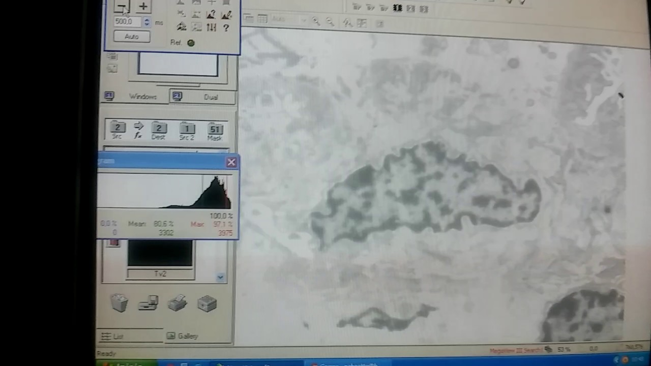 Histogram - Greyscale