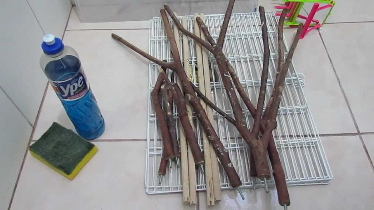 Higienização de Gaiola - Agapornis e Aves em Geral Parte 1