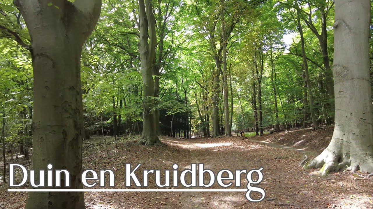 Wandeling Duin en Kruidberg (witte route) Nationaal Park Zuid-Kennemerland, Santpoort-Noord | 4K