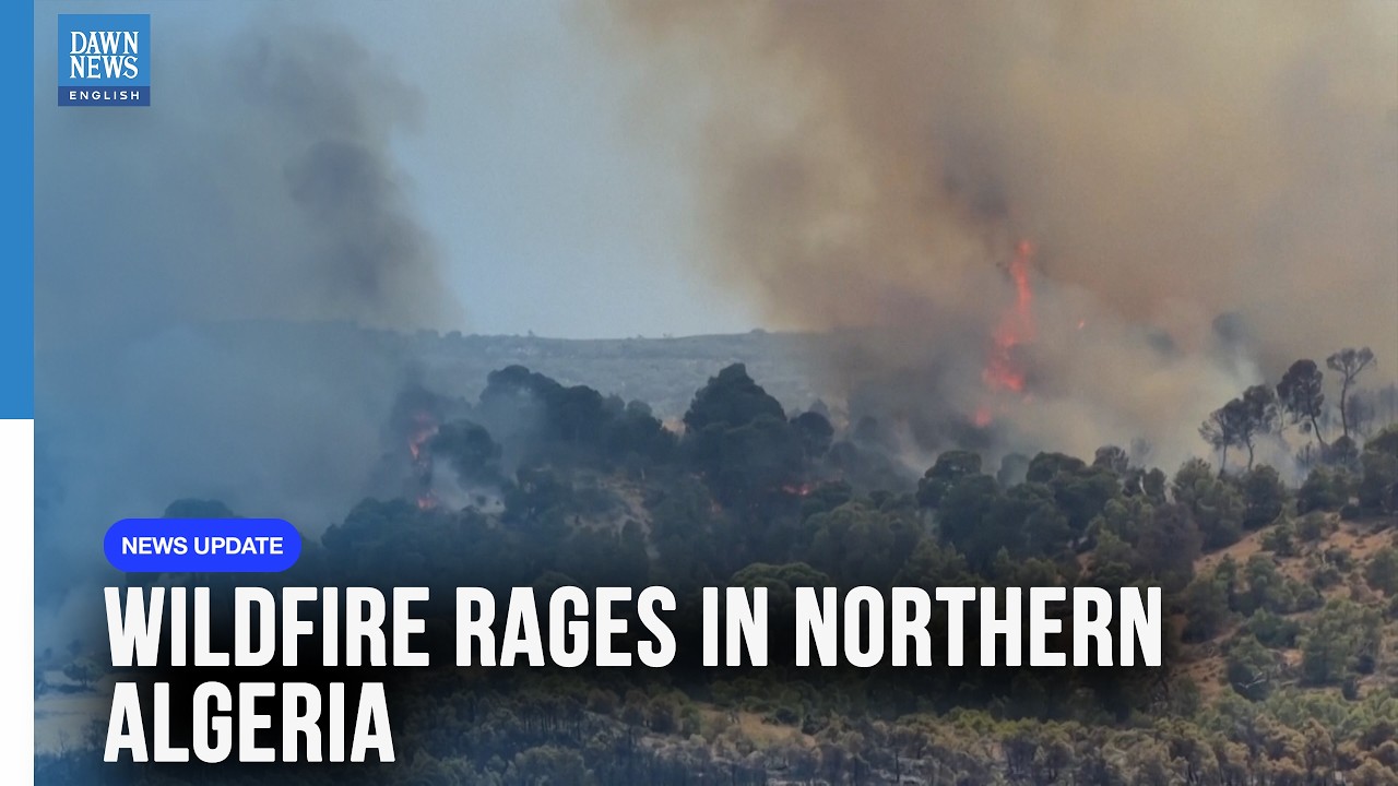 Massive Wildfire Sweeps Northern Algeria as Firefighters Battle Flames | Dawn News English