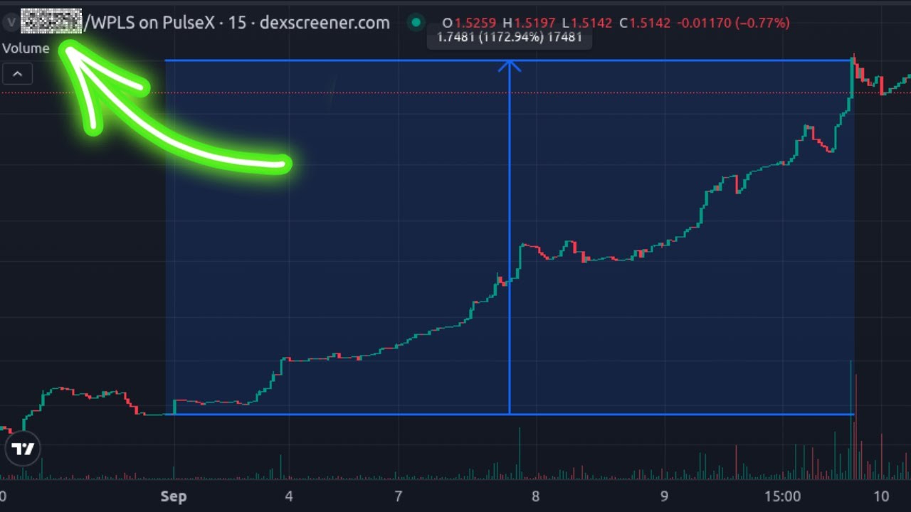 PulseChain Coin went up more than 1000%... Vouch Ecosystem Deep Dive!