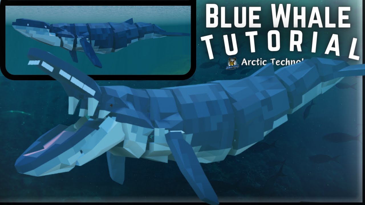 Blue Whale Tutorial ( Plane Crazy )