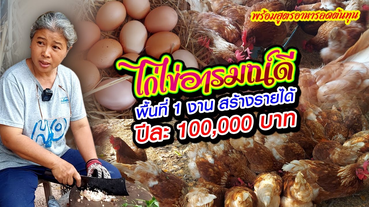 ไก่ไข่อารมณ์ดี พื้นที่ 1งาน สร้างรายได้ปีละ 100,000 บาท