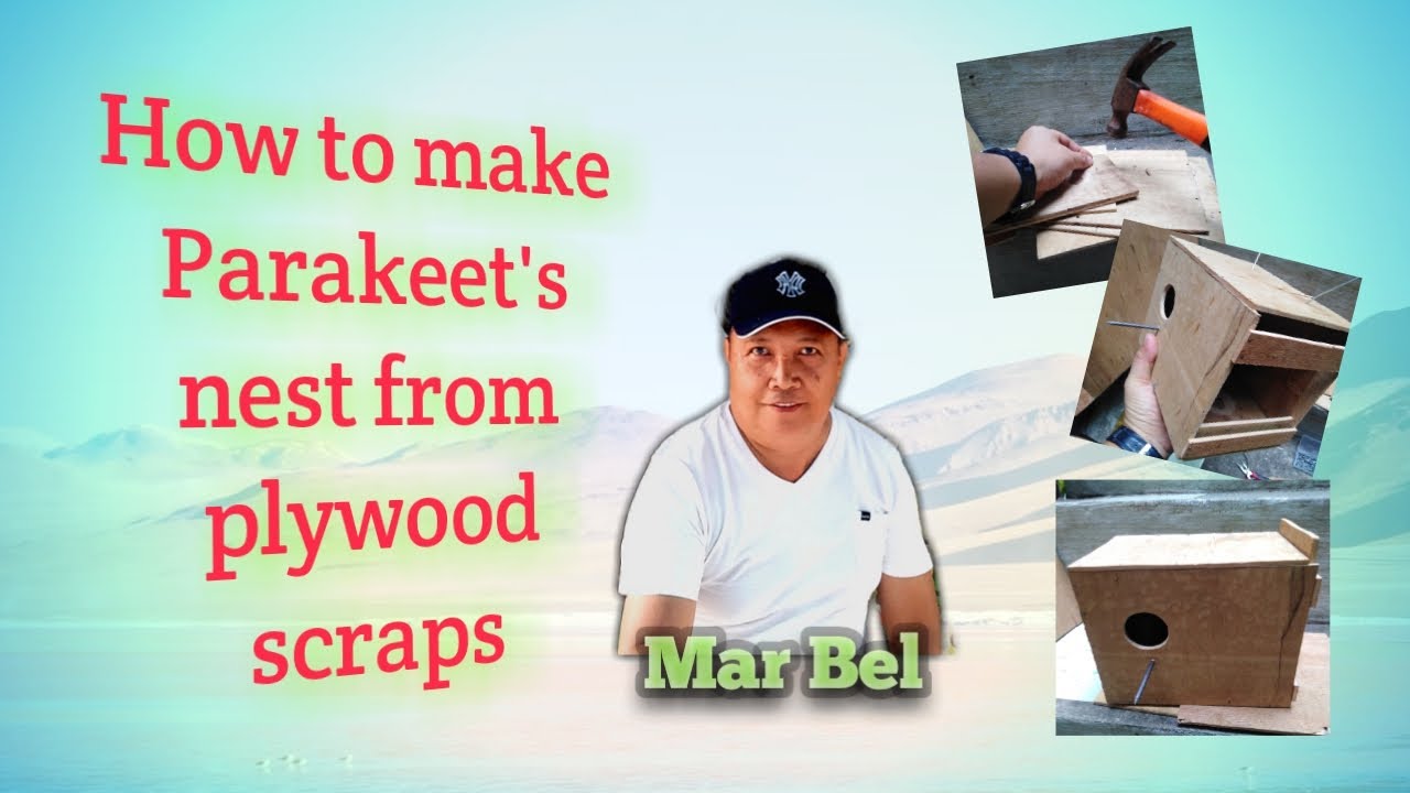 HOW TO MAKE PARAKEET'S NEST FROM PLYWOOD SCRAPS | Mar Bel