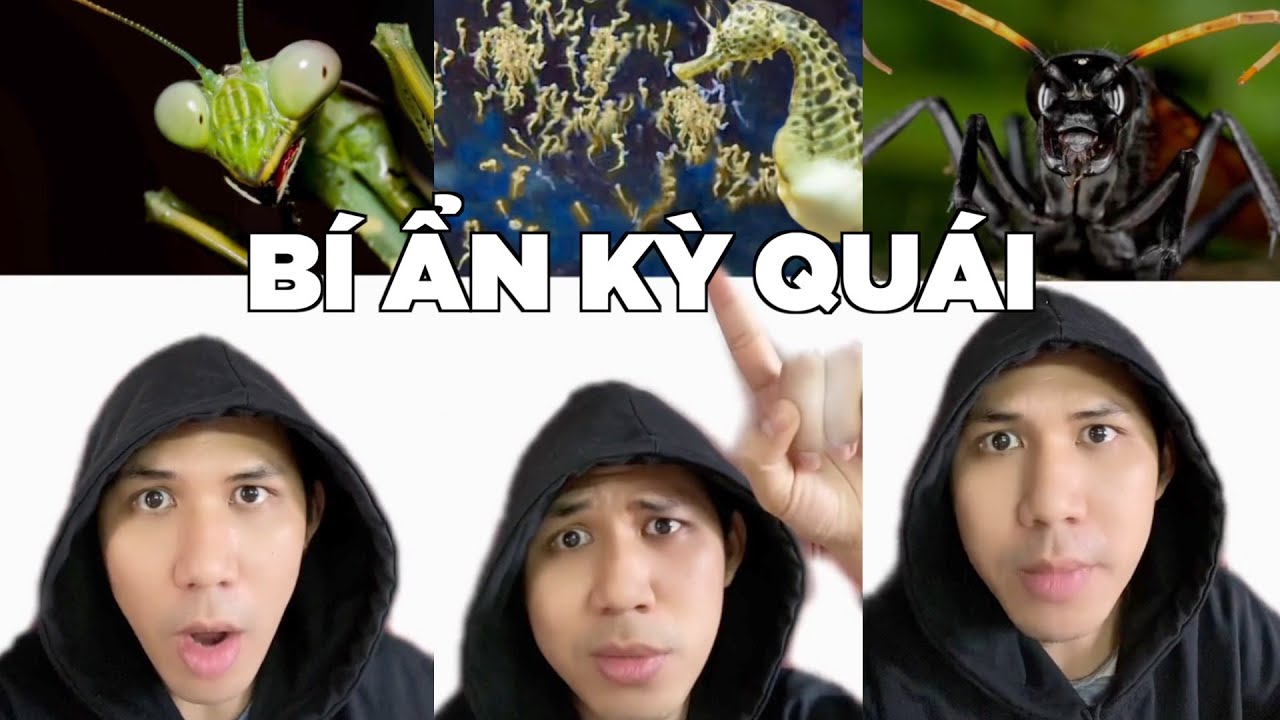 Những Bí Ẩn Kỳ Quái Về Động Vật | Điều thú vị có thể bạn chưa biết (P131-140)