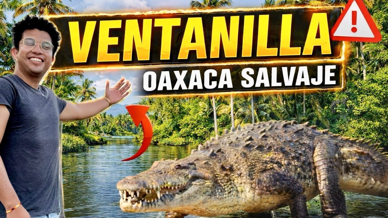 VENTANILLA OAXACA 🐊🌴🌊 Un paraíso de manglares y cocodrilos en libertad 