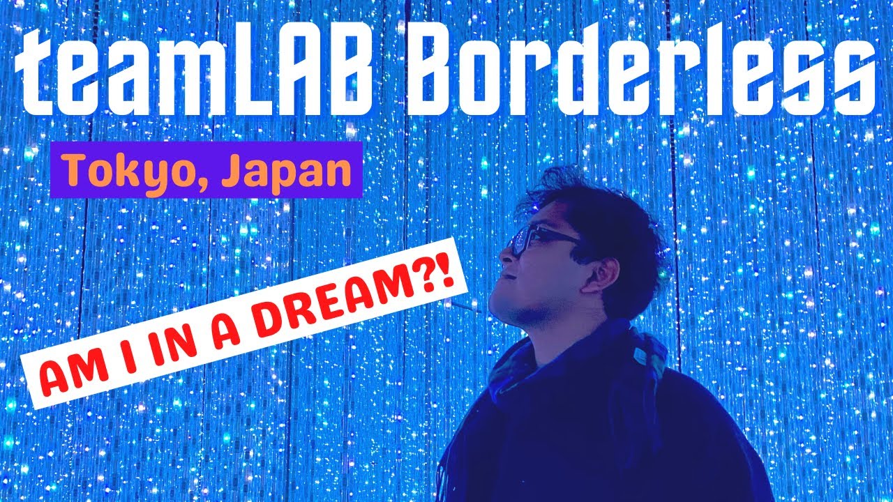 জাপানের সবচেয়ে সুন্দর ডিজিটাল জাদুঘর - teamLAB Borderless! Odaiba, Tokyo. JAPAN BANGLA VLOG