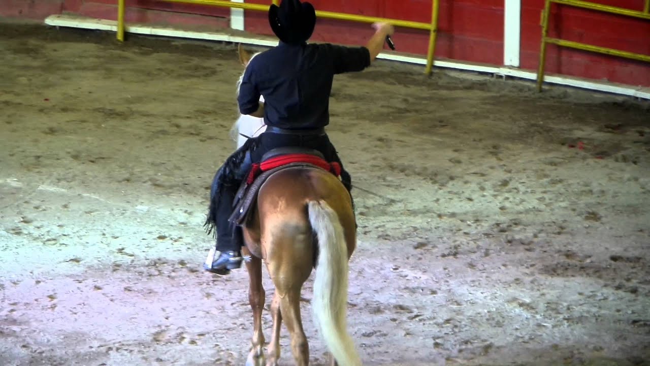 El Primer Tonto -  Jose Manuel Figueroa en Plaza Monumental AGS. Feria 2014