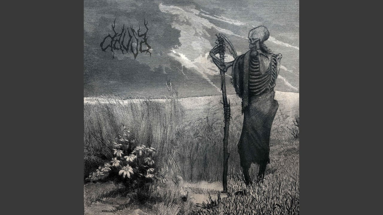 Rebirth