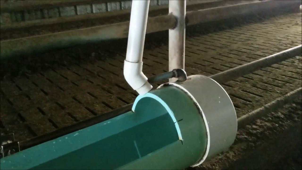 PVC pipe water trough for return alley