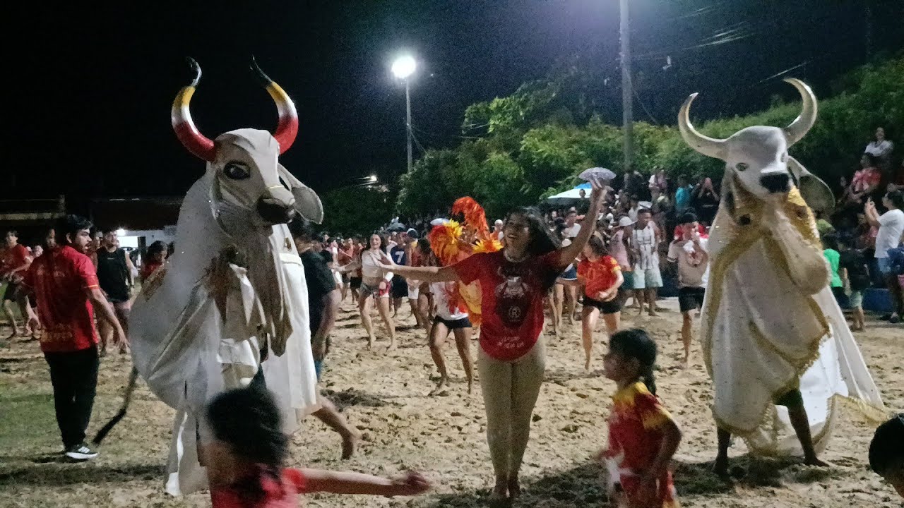 ENSAIO DO BUMBA-MEU-BOI REI DA BOIADA 2026