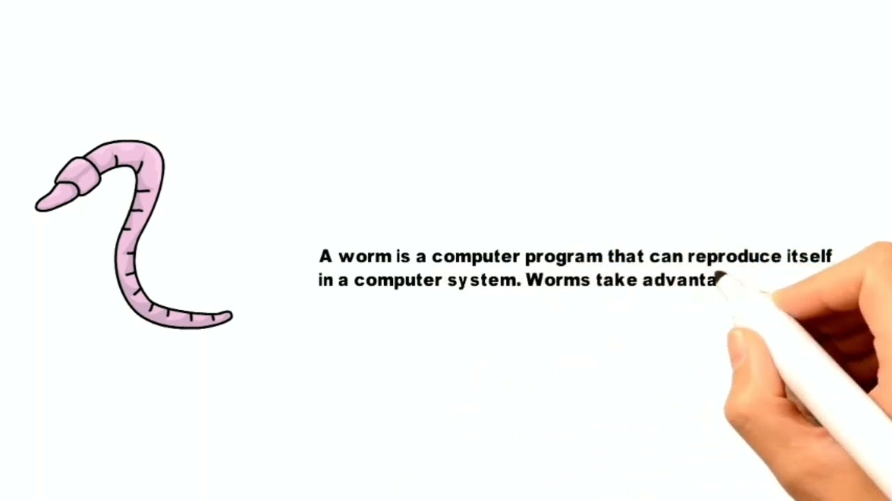 WHAT IS A MALICIOUS SOFTWARE?