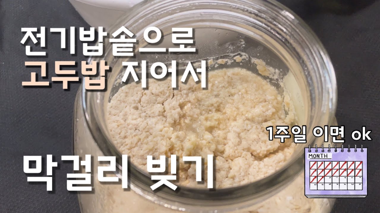 [SUB] 일주일도 안 걸리는 단양주 막걸리 만들기, 전기밥솥 고두밥