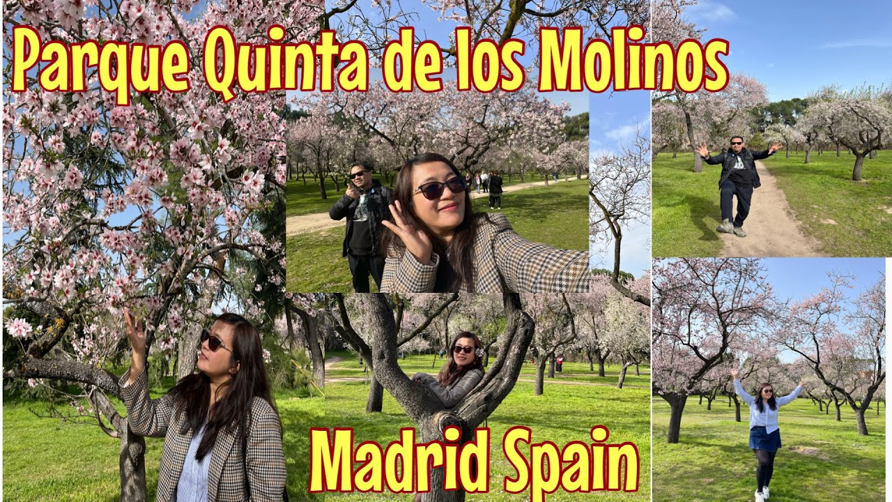 Parque Quinta de los Molinos Madrid Spain || Almendros in flor || Sakura #trending #madrid #spain 