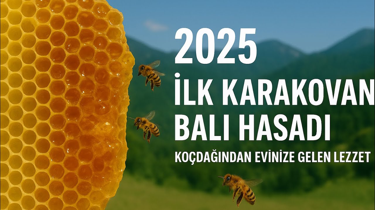 2025 İlk Karakovan Balı Hasadı 🍯 | Doğal Bal, Arıcılık ve Köy Yaşamı