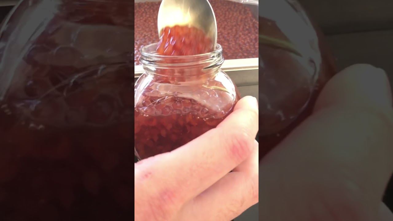 Bottling the homemade salmon caviar Ikura.
