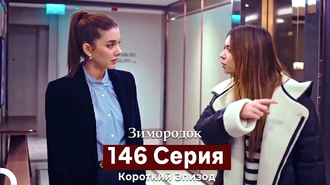 Зимородок 146 Cерия (Короткий Эпизод) (Русский дубляж)