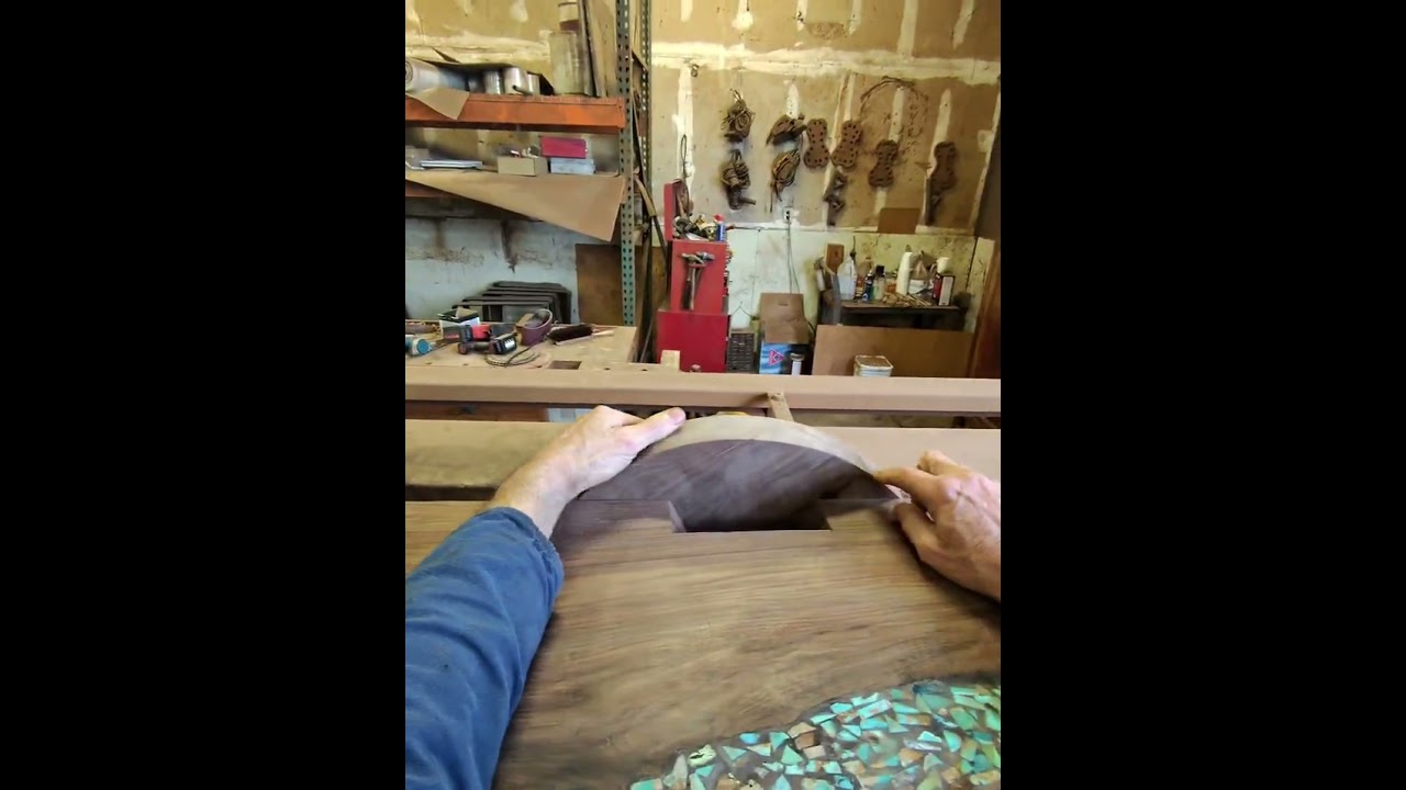 New project and dogos  #532