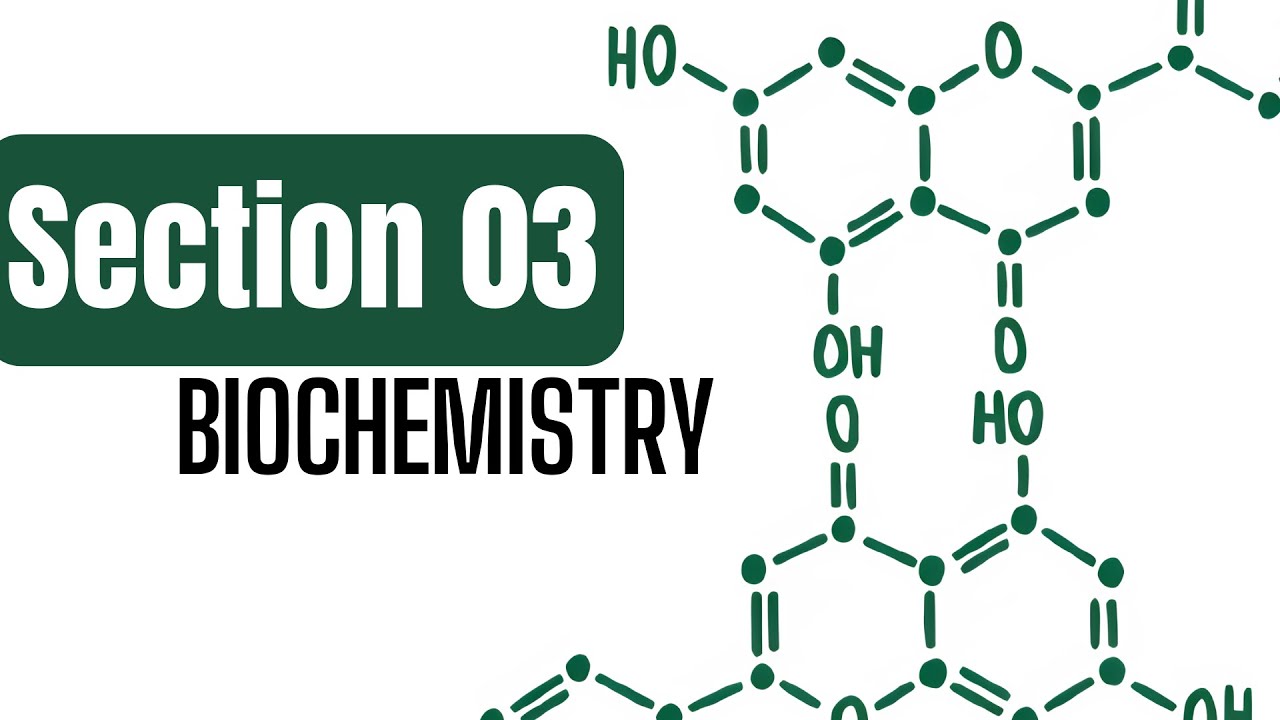 BioChemistry - Section 03 (Barfoed'S Test)