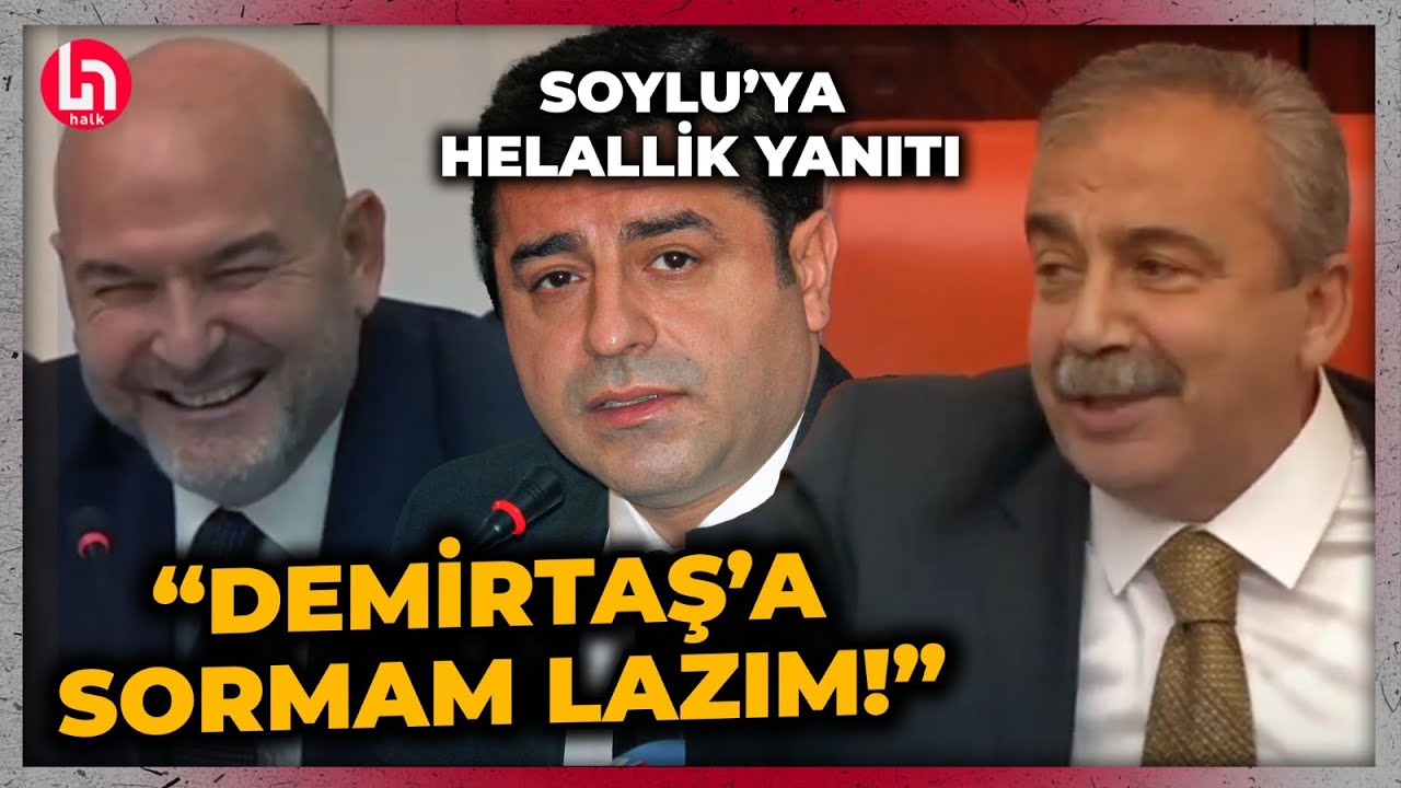 Soylu 