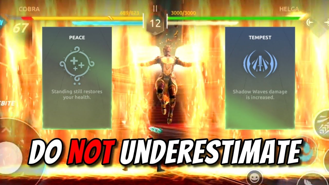 Powerfull Perks Which 99% Skips - Shadow Fight Arena Story mode