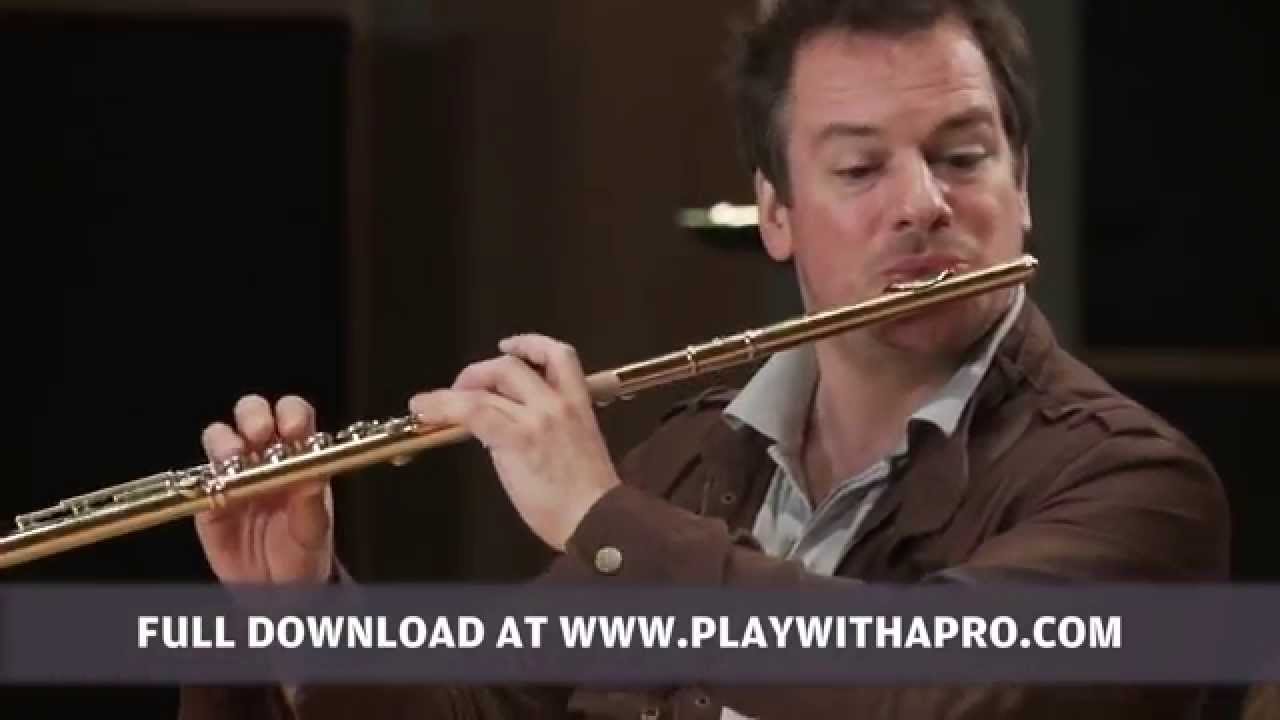 Flute lessons, Emmanuel Pahud, Schubert Theme and variations on Trockne Blumen