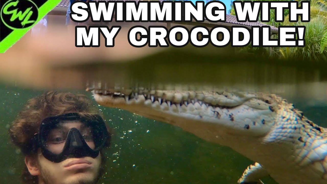SWIMMING WITH MY CROCODILE!!!