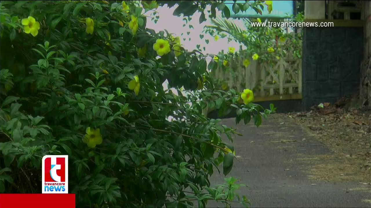 Kiran's TV Live Stream
