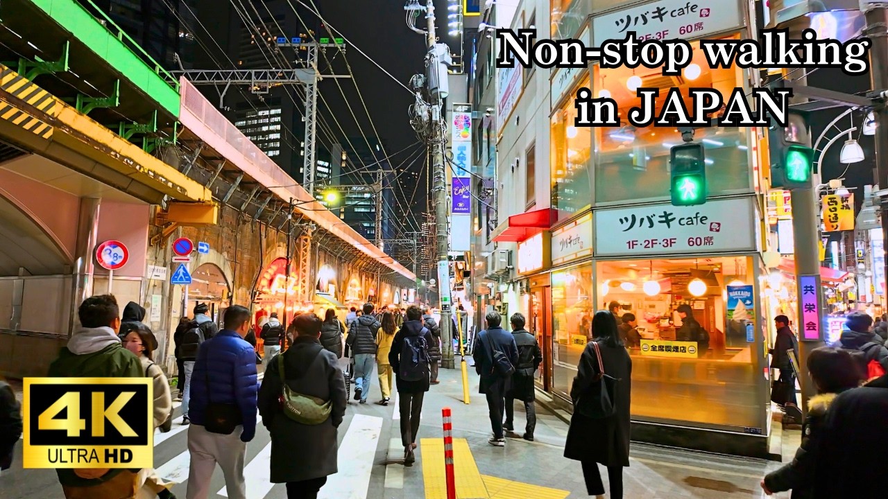 【東京】東京駅→新橋 夜のガード下グルメ街 　Tokyo Night Walk Under the Railway 🍶