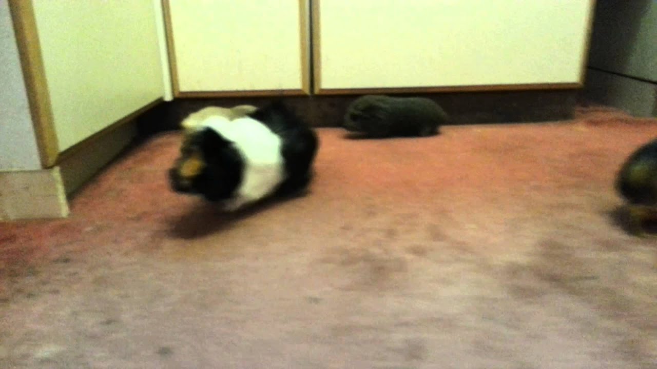More kitchen playtime