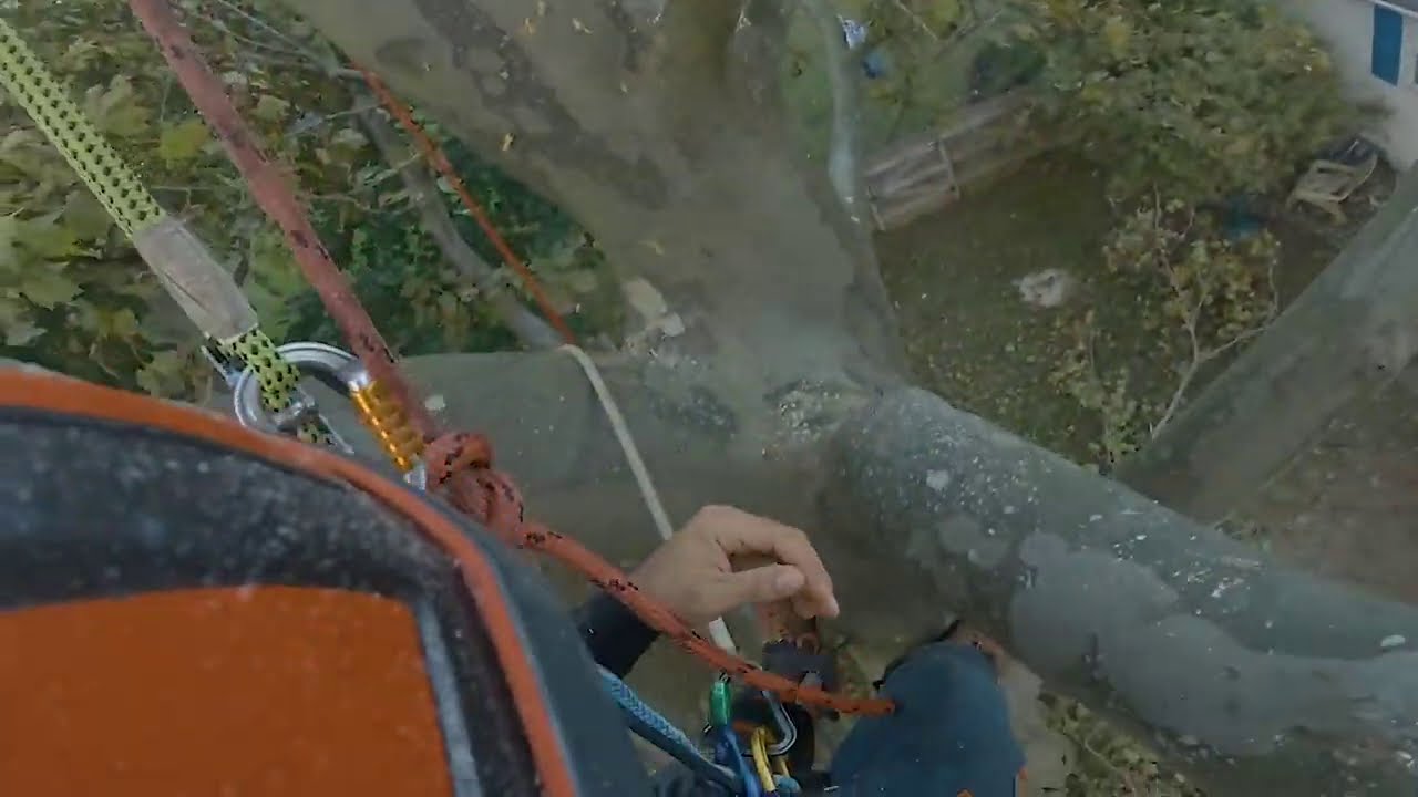 ZIGZAG DRT TREECLIMBING | Ep. 6 | P. 1 | VLOG | EXHILERATING RIGGING CHECK IT OUT!!