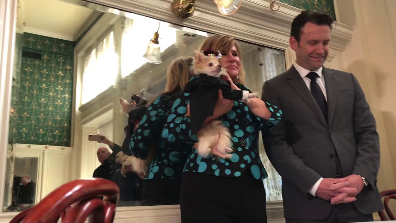 Barkus Royalty officially are introduced during the annual royal luncheon at Galatoire&rsquo;s