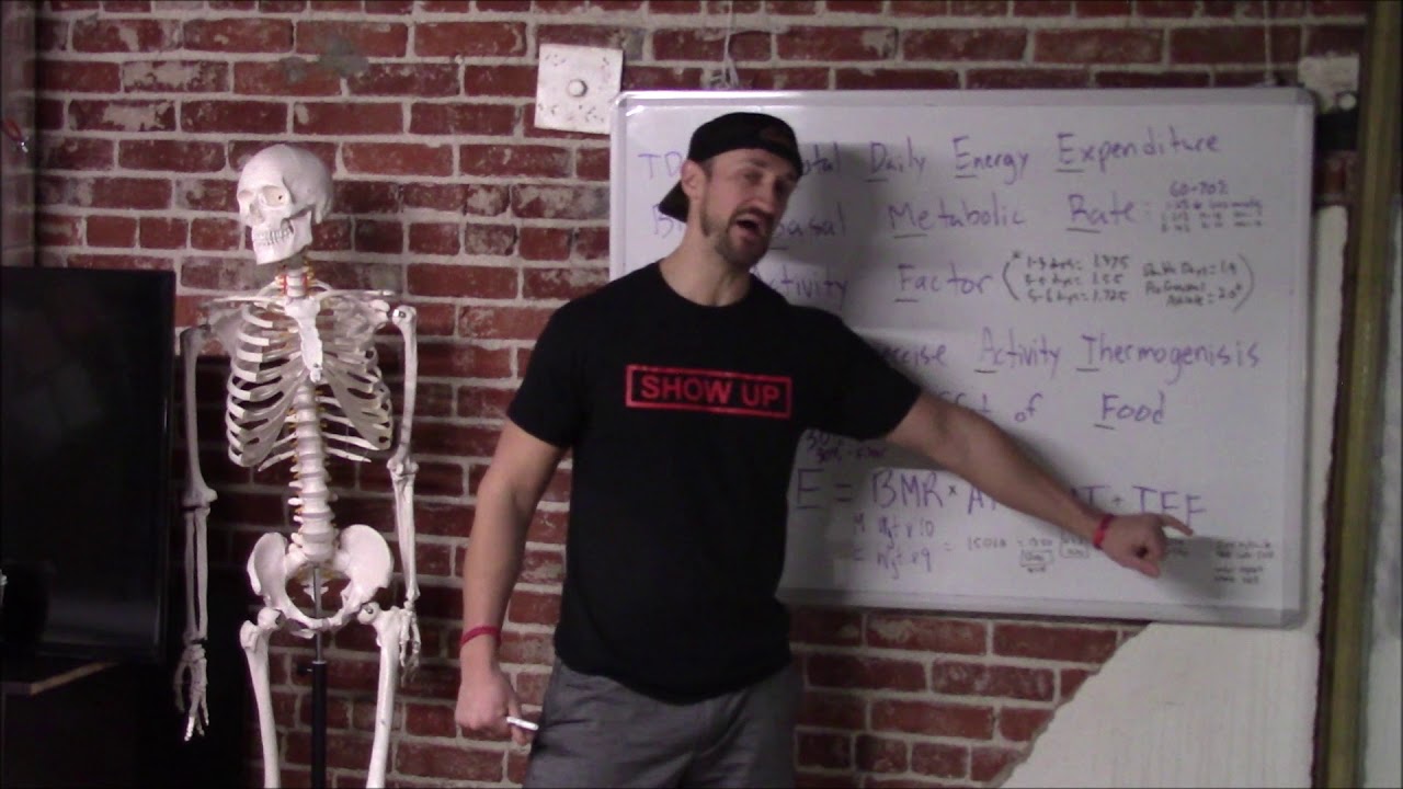 Total Daily Energy Expenditure (TDEE) Explained: Show Up Fitness