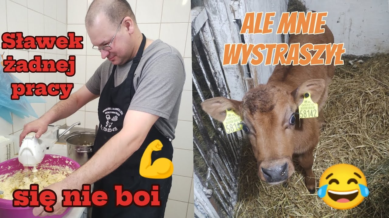 92. Awaria najważniejszego sprzętu! 😅 
