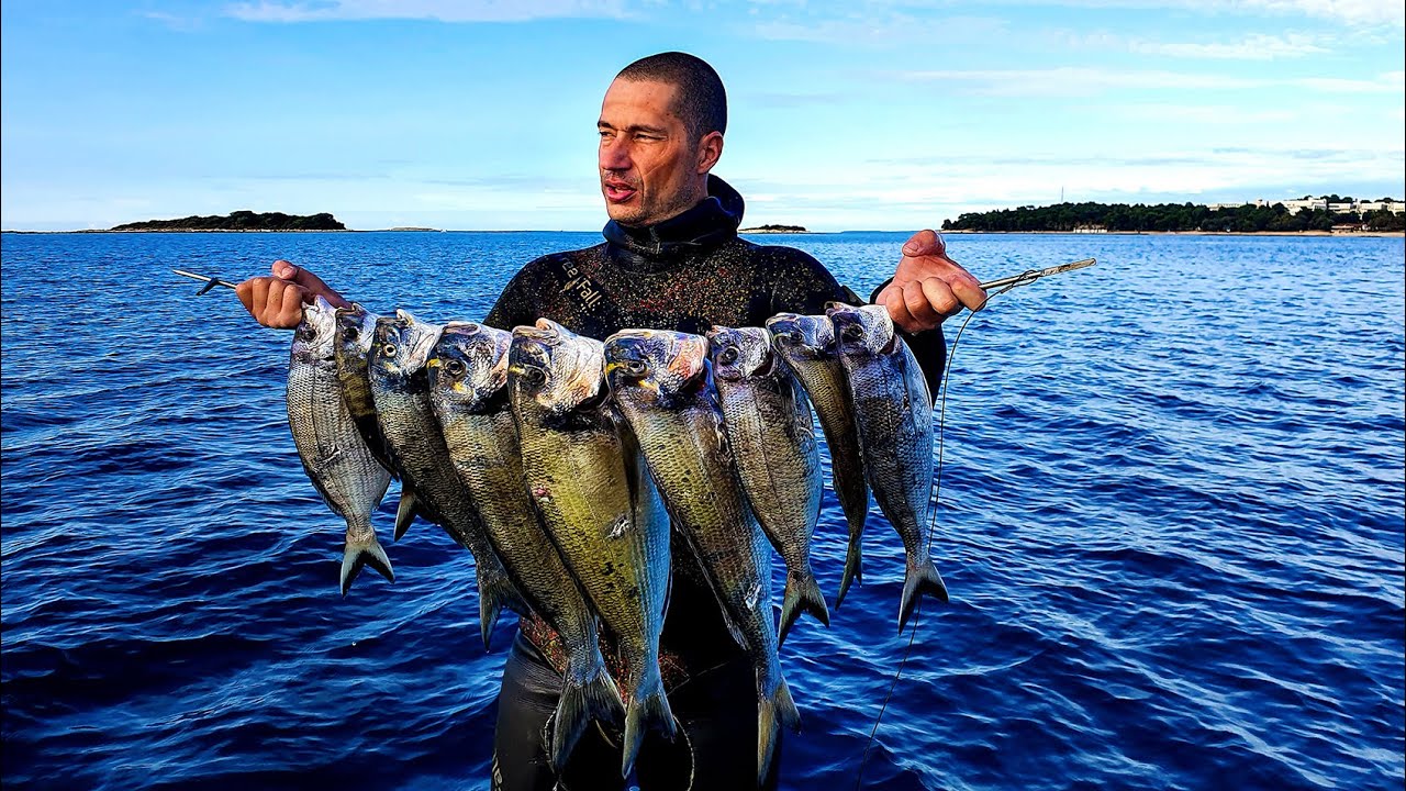 oRade.