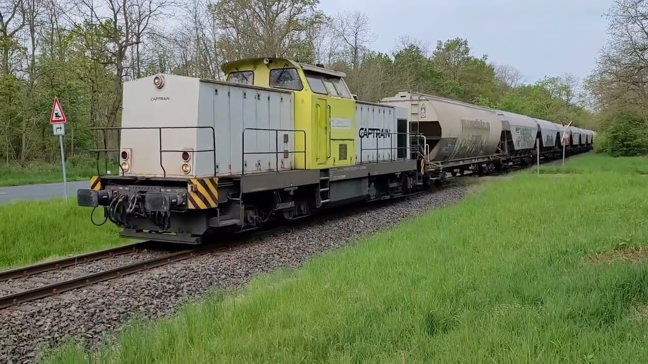 G&uuml;terzugeinsatz V141 RBB /  Captrain auf der Saftbahn