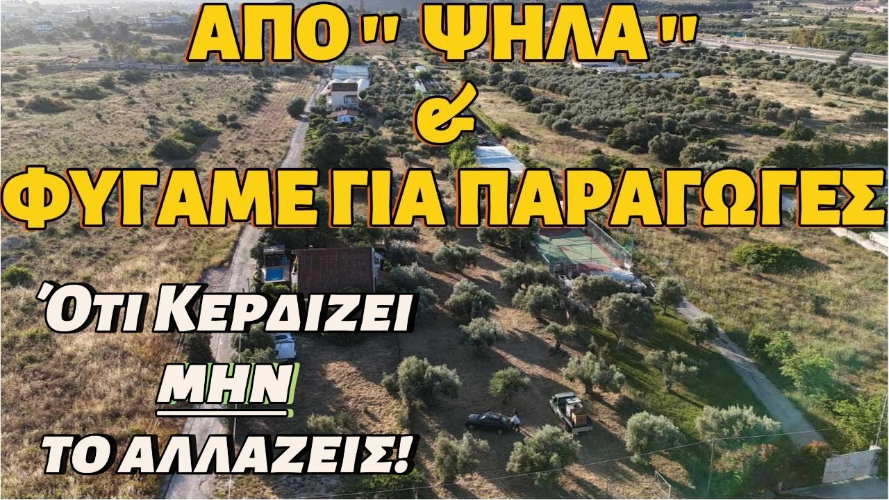 ΤΙΠΟΤΑ ΣΤΗΝ ΤΥΧΗ ΥΠΕΡ-ΠΑΡΑΓΩΓΕΣ  ΣΟΥΠΕΡ ΑΝΘΟΦΟΡΙΕΣ (Πρώτα Θεός & Καιρός )#μαθαίνοντασ_για_την_ελιά