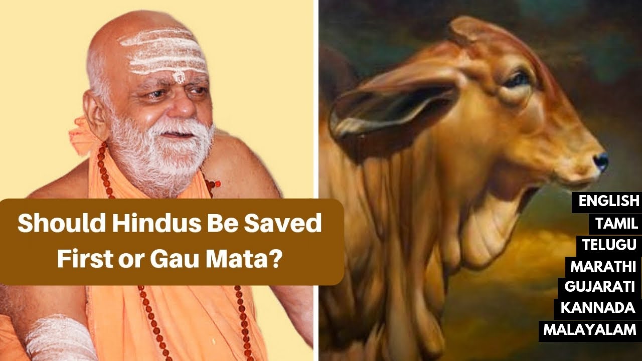 हिंदु को बचाया जाए या गौ माता को ?